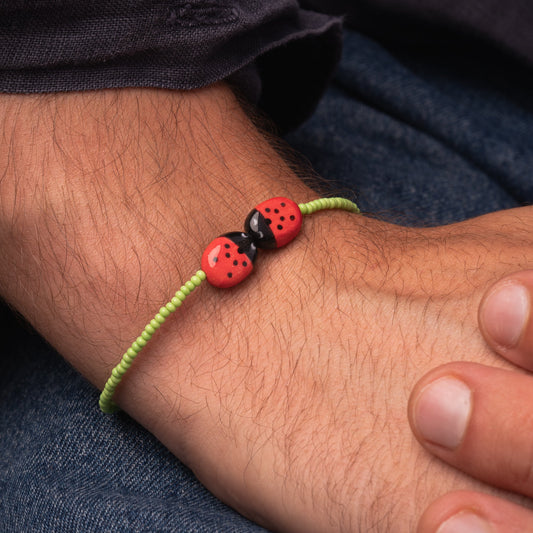 Coccinelle innamorate